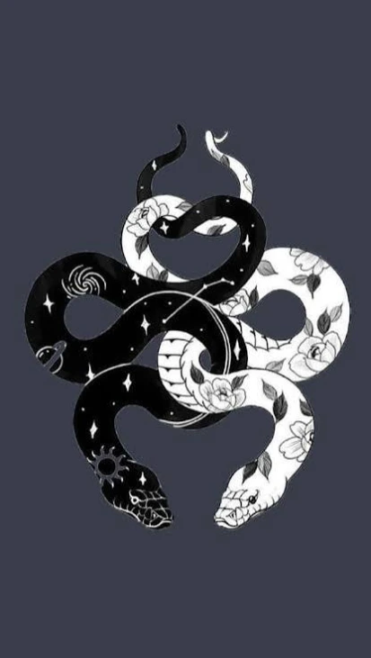 dandriyaladvisor